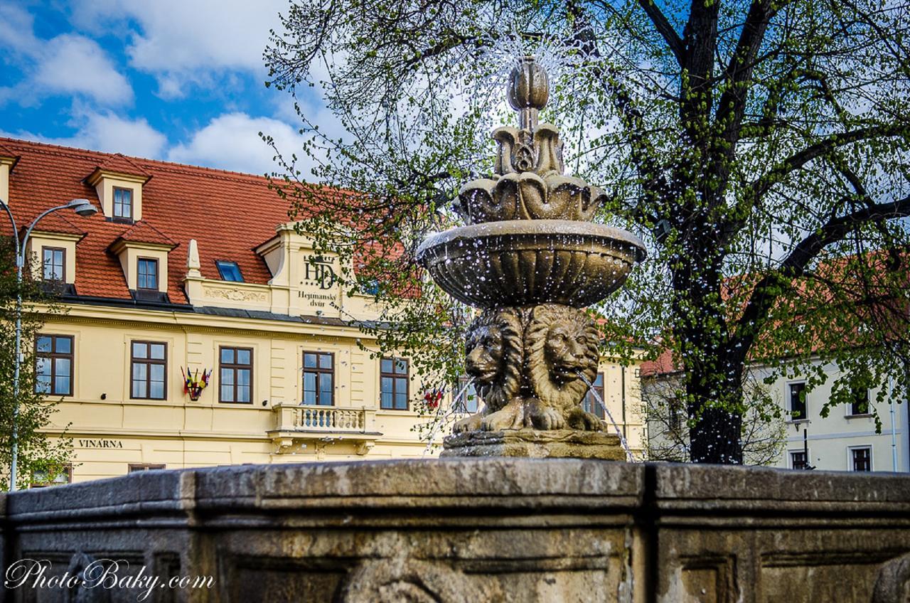 Hejtmansky Dvur Hotel Slaný Buitenkant foto